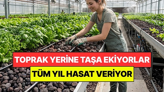 Tarımda Yeni Dönem: Toprak Yerine Taş Kullanmaya Başladılar "Ülkemizin Taşı"