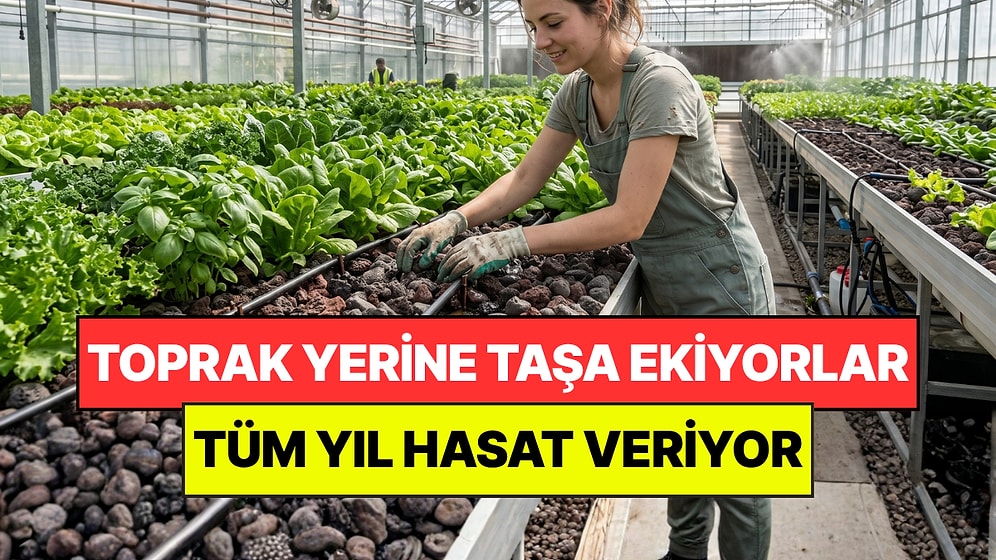Tarımda Yeni Dönem: Toprak Yerine Taş Kullanmaya Başladılar "Ülkemizin Taşı"