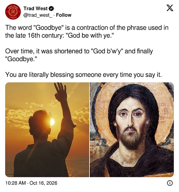 👇🏻