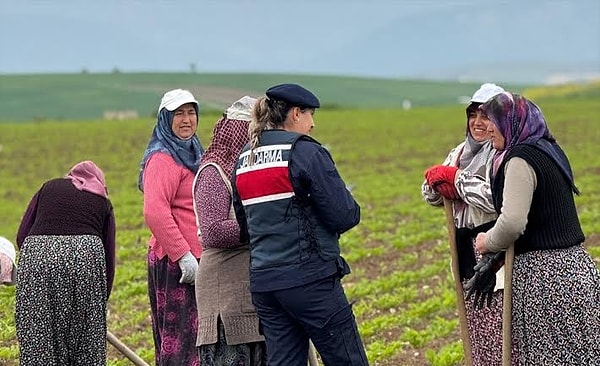 Jandarma ekipleri tarlalarda termal kameralar ve dronlar eşliğinde gece gündüz nöbet tutuyor.