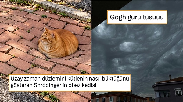 Son 24 Saatin Viral Tweetleri