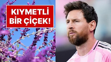 Peru'da Keşfedilen Yeni Bitki Türü Mavi-Beyaz Çiçekli Salvia Messii'ye Lionel Messi'nin Adı Verildi