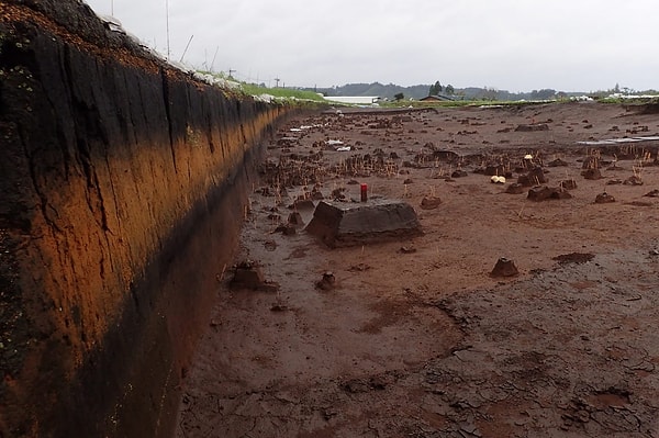 Güney Kyushu'da Jomon nüfusu büyük ölçüde azaldı ve birçok bölgede kültürel süreklilik kesintiye uğradı.