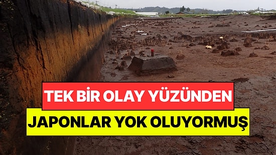 Tek Bir Olay Yüzünden Japonlar 7.300 Yıl Önce Neredeyse Yok Oluyormuş