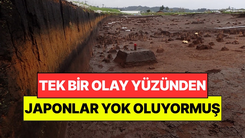 Tek Bir Olay Yüzünden Japonlar 7.300 Yıl Önce Neredeyse Yok Oluyormuş
