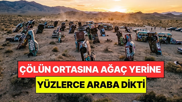 Çöle Ağaç Yerine Yüzlerce Araç Dikti: 'Araba Ormanı' İmkansızı Başardı