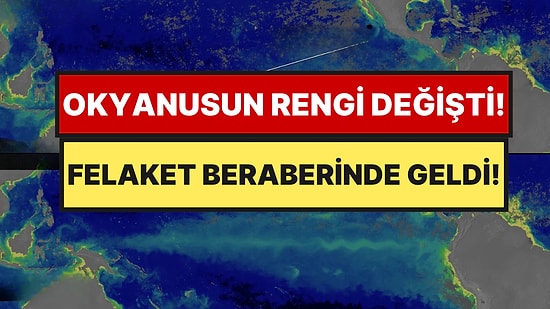 Okyanusun Rengini Değiştirdi: Beraberinde Büyük Bir Felaket Geldi