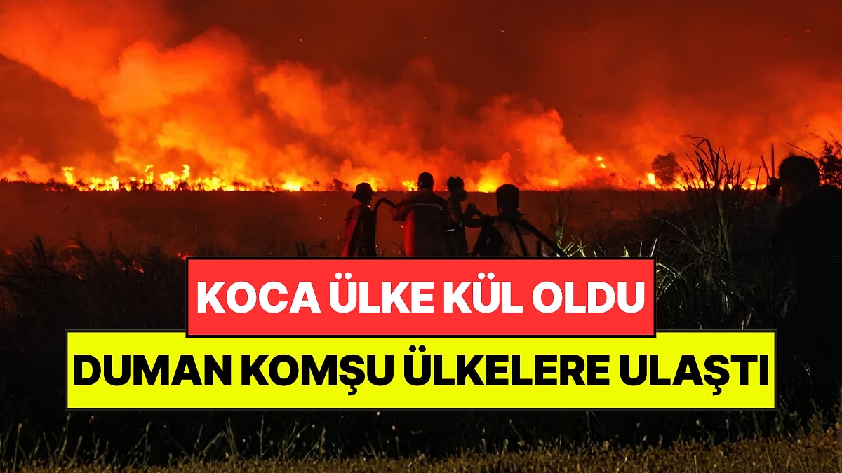 Koca Ülke Kül Oldu: 1,9 Milyon Hektardan Fazla Alan Etkilendi