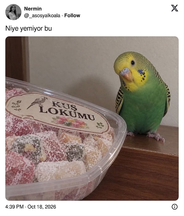 Anlaşılır bir tereddüt.