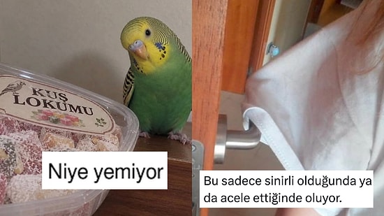 Glikozu Kesen Kuştan Tişörte Takılan Kapıya Son 24 Saatin Viral Tweetleri