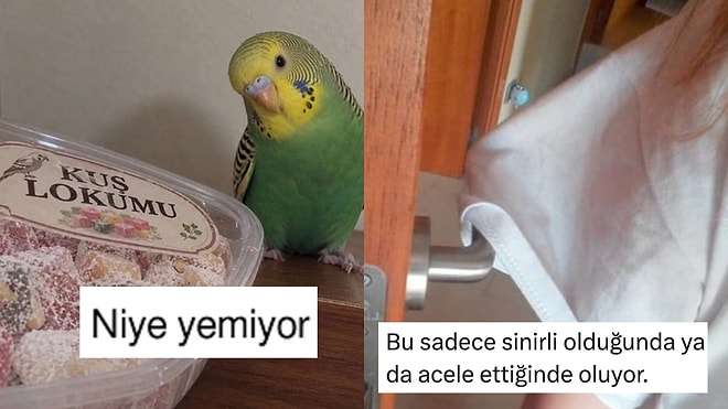 Glikozu Kesen Kuştan Tişörte Takılan Kapıya Son 24 Saatin Viral Tweetleri