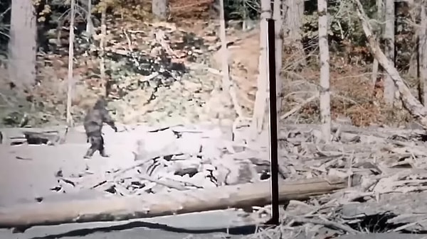 Bir dakikadan kısa görüntü, yarım asırdır Koca Ayak'ın en güçlü kanıtı sayılıyordu