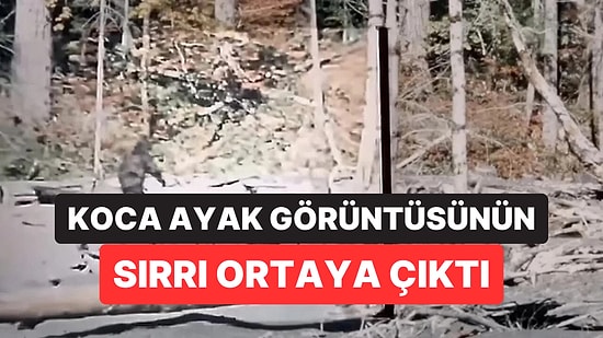 Yeni Belgesel Dünyanın En Ünlü Koca Ayak Görüntüsünün Arkasındaki Gerçeği Ortaya Çıkardı