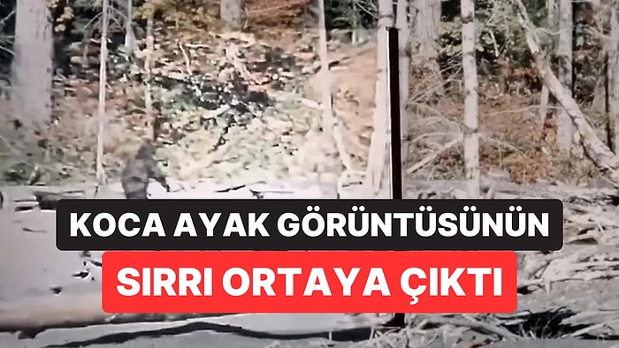 Yeni Belgesel Dünyanın En Ünlü Koca Ayak Görüntüsünün Arkasındaki Gerçeği Ortaya Çıkardı