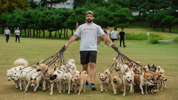 38 köpeği tasmalarından çıkarmadan 1 kilometre yürüttü