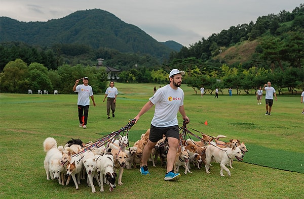 Rudy kurtarılan köpeklere yönelik önyargıya dikkat çekti