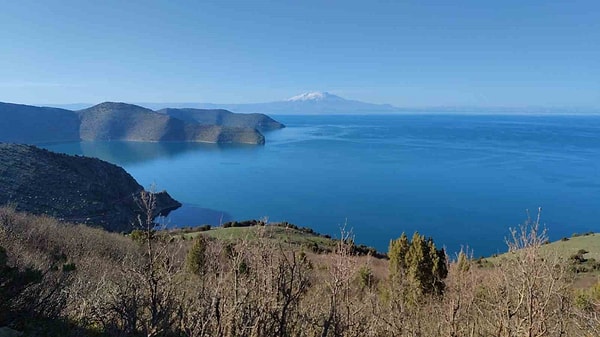 Desenlerin Sırrı: Tatlı Su ile Sodalı Suyun Buluşması