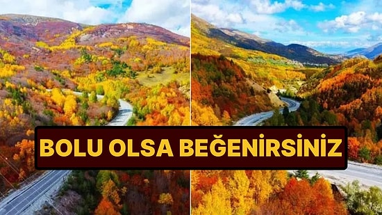 Bolu, Yedigöller Değil: Sonbahar Tutkunlarının Yeni Adresi!