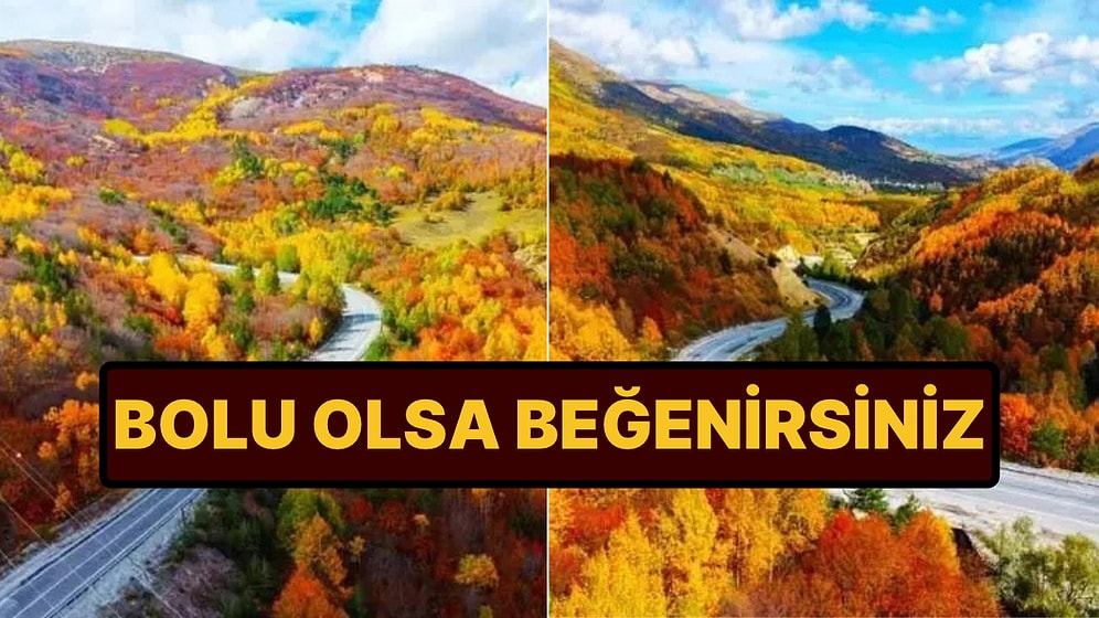 Bolu, Yedigöller Değil: Sonbahar Tutkunlarının Yeni Adresi!