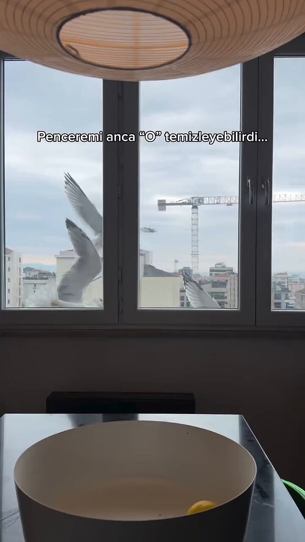 "Bunu tek bir kişi yapabilir"