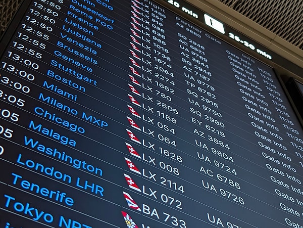Randevu ile seyahat arasında en az 15 ya da 20 iş günü olmalı