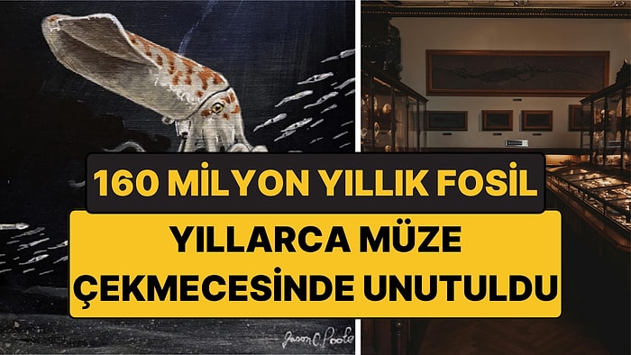 Müze Çekmecesinde Yıllarca Unutulan 160 Milyon Yıllık Fosil Yeni Bir Tür Çıktı