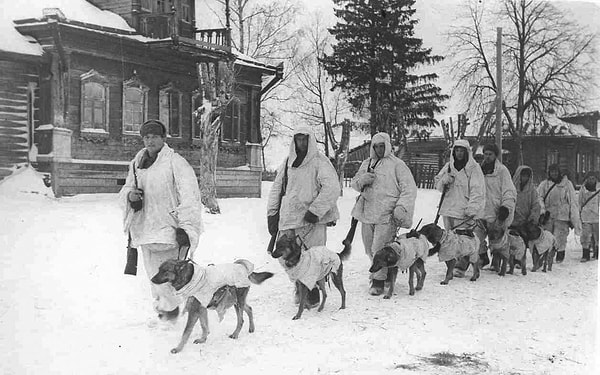 1. Sovyetlerin tanksavar köpekleri