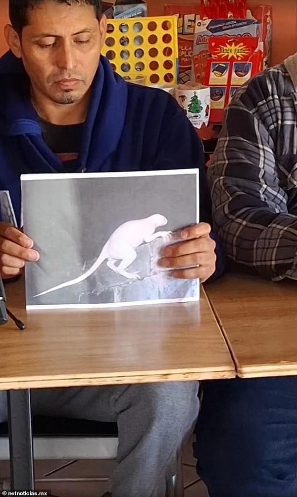 Dört kişilik araştırma ekibi, yaratığın boyunu duvardaki tuğlalara bakarak hesapladı.
