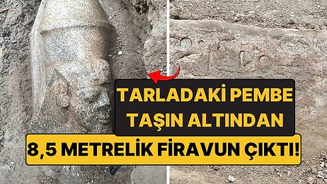 Tarlasında Pembe Bir Taş Buldu: Altından 8,5 Metrelik Firavun Heykeli Çıktı