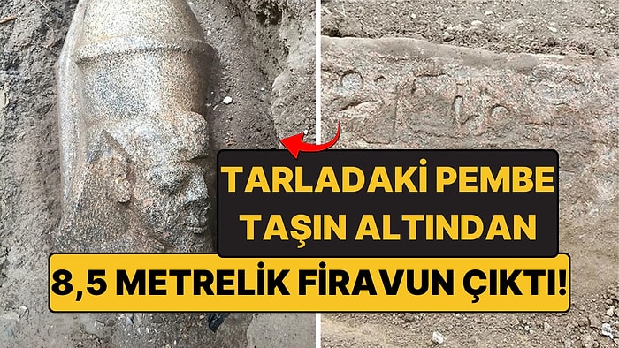 Tarlasında Pembe Bir Taş Buldu: Altından 8,5 Metrelik Firavun Heykeli Çıktı