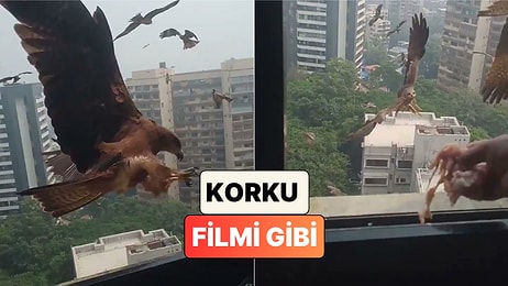 Hindistan'da Kuşlara Et Atma Geleneği Nedeniyle Pencereye Akın Eden Yırtıcı Kuşlar Korku Filmini Aratmadı