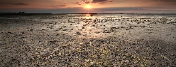 Dünya Meteoroloji Örgütü, El Nino için tarih verdi. El Nino'nun etkileyeceği ülkeler açıklandı.
