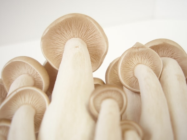 6 bin aday arasından 3 peptit öne çıktı