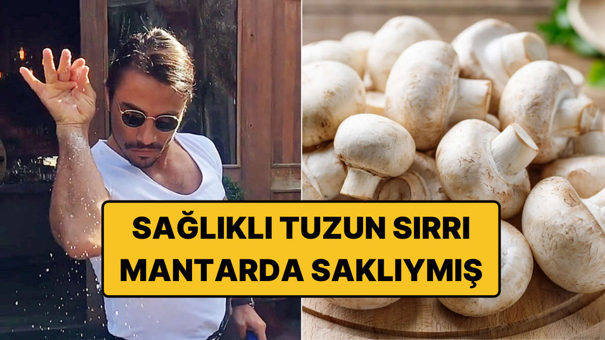 Yemeklerimize Mantardan Elde Edilen Tuzu Atacağız: Hem Lezzet Hem Sağlık Bir Arada!
