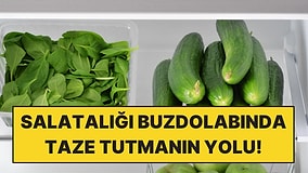 Salatalığı Buzdolabında 2 Haftadan Uzun Taze Tutmanın Yolu