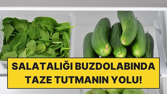 Salatalığı Buzdolabında 2 Haftadan Uzun Taze Tutmanın Yolu