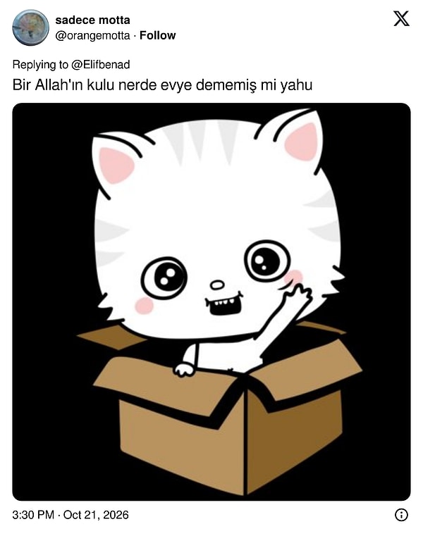 Bir Allah'ın kulu nerde evye dememiş mi yahu