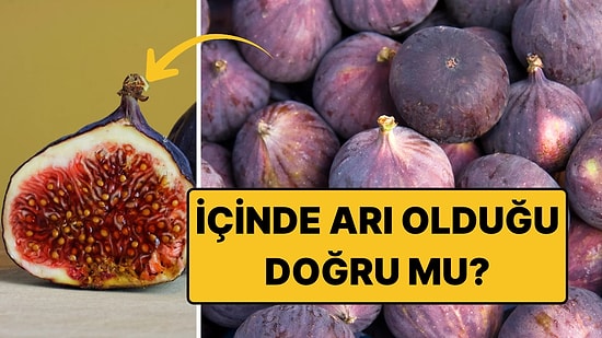 Her İncirin İçinde Ölü Bir Eşek Arısı Var mı? Kulağa Şehir Efsanesi Gibi Geliyor Ama Değil