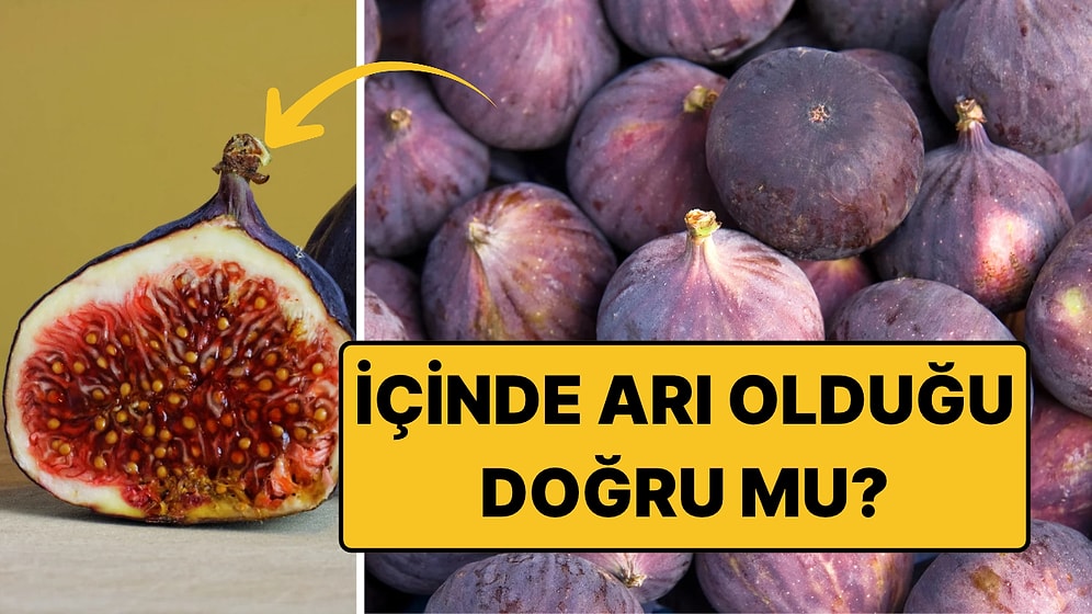 Her İncirin İçinde Ölü Bir Eşek Arısı Var mı? Kulağa Şehir Efsanesi Gibi Geliyor Ama Değil