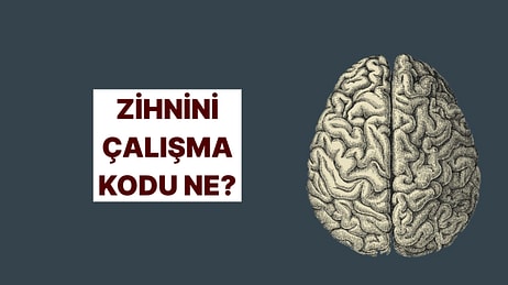Senin Beynin Nasıl Çalışıyor? Öğrenmeye Hazır mısın?