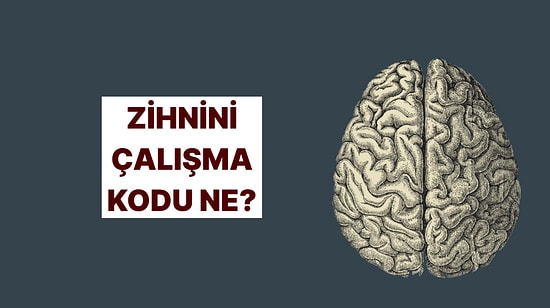 Senin Beynin Nasıl Çalışıyor? Öğrenmeye Hazır mısın?