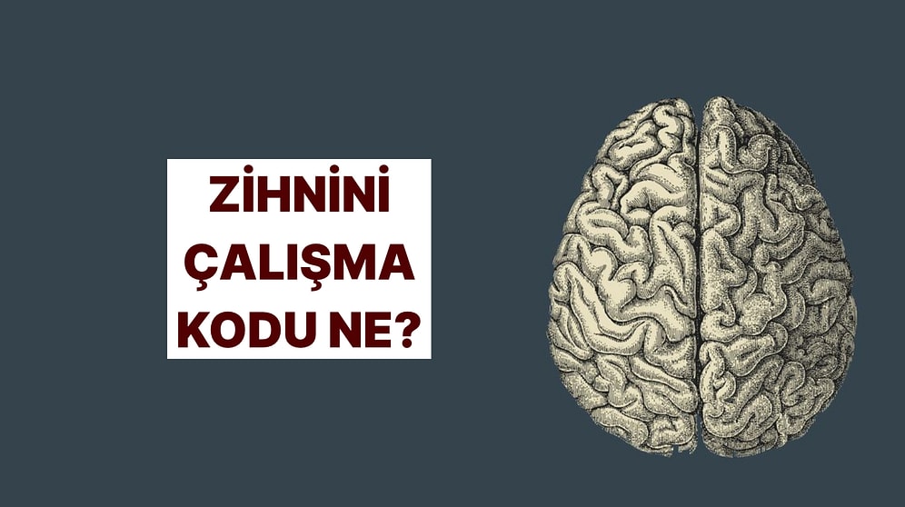 Senin Beynin Nasıl Çalışıyor? Öğrenmeye Hazır mısın?