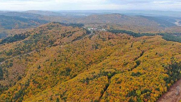 İki Şehri Birbirine Bağlayan Milli Park