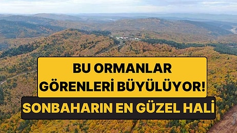 Küre Dağları'nın Sonbahar Güzelliği: Kastamonu ile Bartın Arasındaki Saklı Cennet