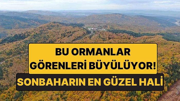 Küre Dağları'nın Sonbahar Güzelliği: Kastamonu ile Bartın Arasındaki Saklı Cennet