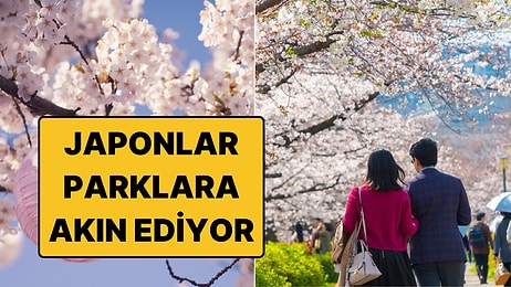 Japonların Her Bahar Sabah Erken Saatlerde Parklara Koştuğu Gelenek: Hanami