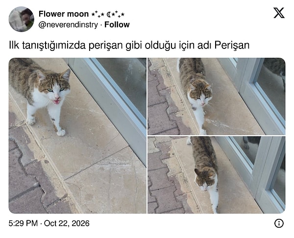 İsim kaderdir.