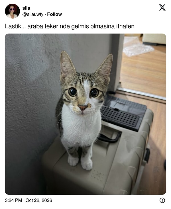 Rota oluşturuldu.
