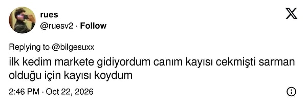 İsabetli seçim.