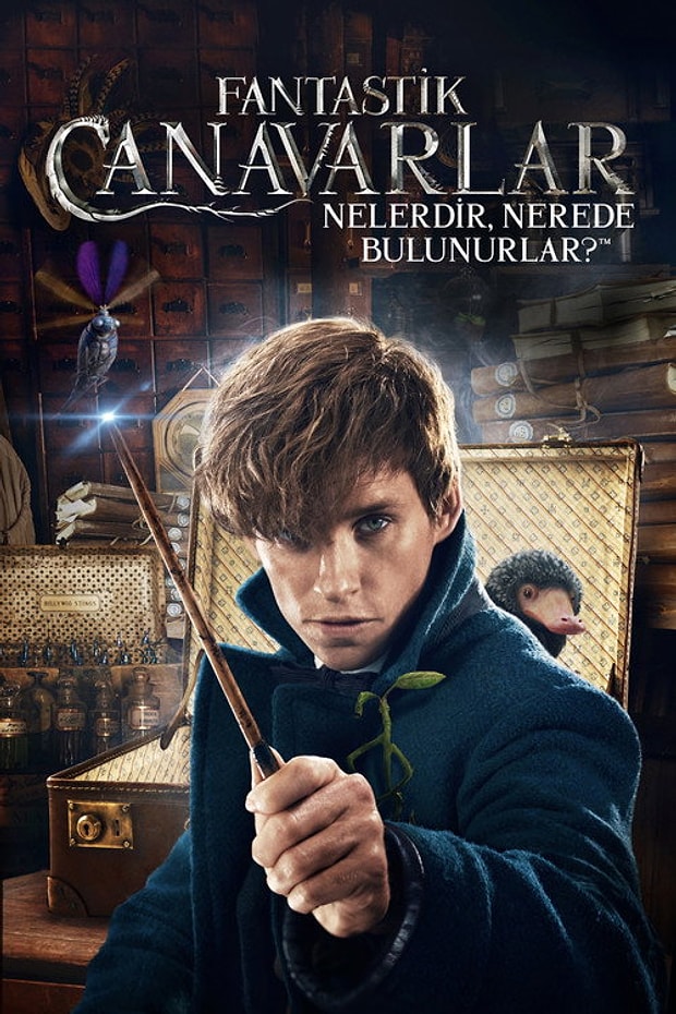 Fantastik Canavarlar Nelerdir, Nerede Bulunurlar? Posteri